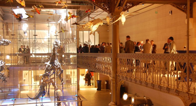Walking dinner or reception on the Mezzanine of the Gallery of Dinosaurs, with guests in front of the iguanodons cage