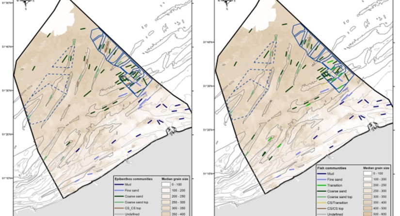 Bemonsteringslocaties (lijnen) met aanduiding van de epibenthische (links) en visgemeenschappen (rechts): gemeenschappen van modder/fijn zand in de kustgebieden (paarse tinten) en van grof zand offshore (groene en bruine tinten). (Beeld: ILVO)