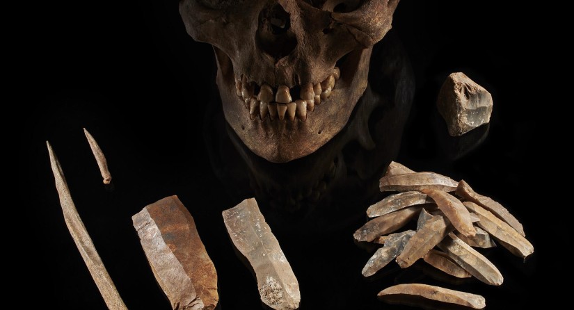 Male skull and stone tools from Groß Fredenwalde (Germany), dated to 7,000 years ago. This individual’s population lived side-by-side with the first Europe farmers without mixing.