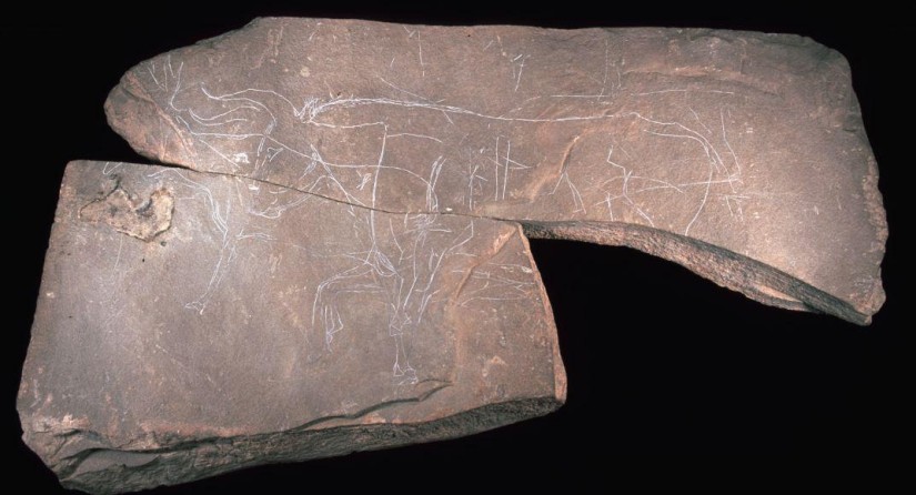 Paläolithische Kunst aus Belgien: der Stein von Chaleux. Auf beiden Seiten eingraviert, zeigt er auf der einen Seite einen Auerochsen und ein Rentier und auf der anderen ein Pferd und zwei Steinböcke.