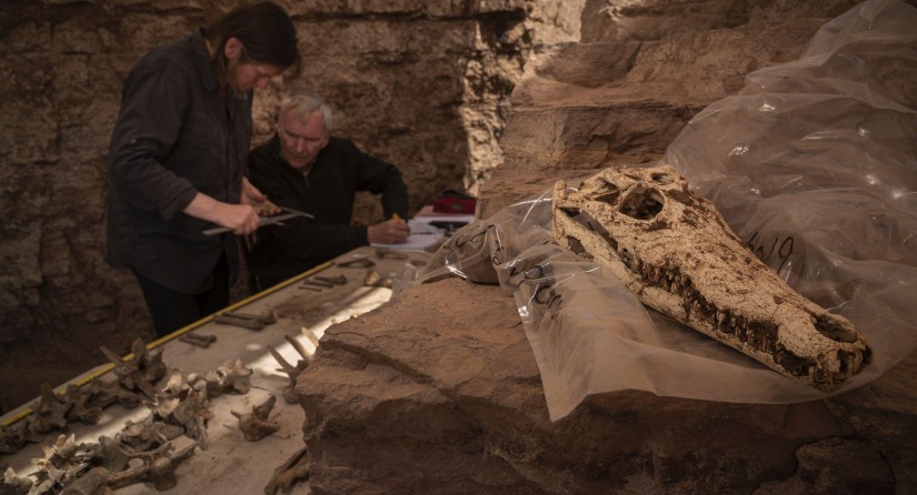 Researchers Bea De Cupere and Wim Van Neer of the Royal Belgian Institute of Natural Sciences measuring and studying the specimens on site.