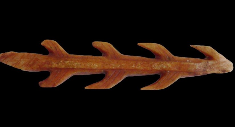 Harpoon from the Goyet Caves. Spear and harpoon tips, for the most part made from deer antler, were crafted with care, for efficacy of course, but also out of a spirit of craftsmanship. (Photo: RBINS)