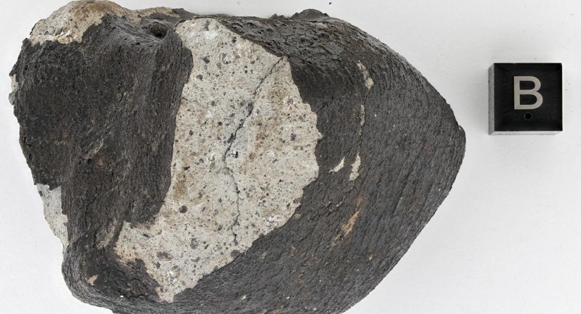Van deze soort meteoriet zijn er maar acht andere gevonden in heel Europa. (Foto: KBIN)