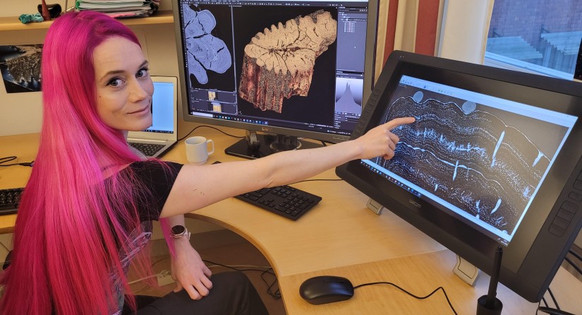 Palaeontologist Melanie During points to a section of a Paddlefish dentary showing high bone cell density (i.e. summer).