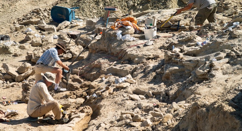 wetenschappers op de opgravingsite van kaycee in Wyoming