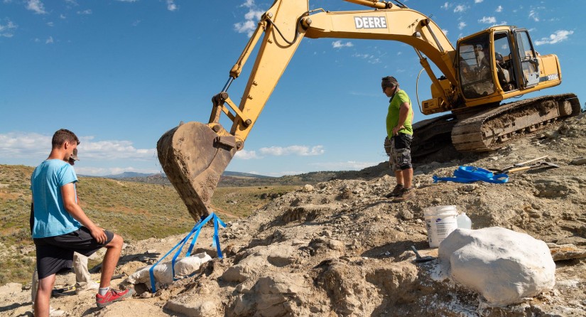 Met een kraan worden de ingegipste fossielen van de site weggedragen.