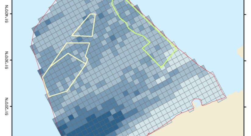 Gecombineerde gevoeligheidskaart voor roodkeelduiker, Jan-van-Gent, zeekoet en alk. Donkerder blauw betekent een hogere gevoeligheid voor verplaatsing door offshore windparken. (Beeld: INBO)