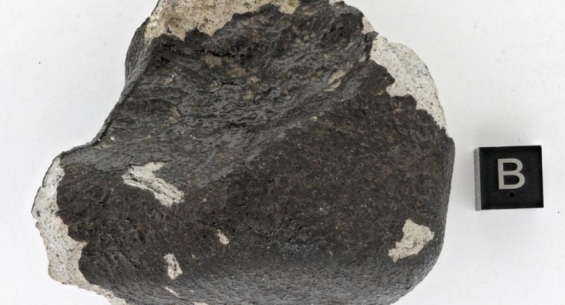 Meteoriet van Tintigny, de zesde die in België neerkwam en is gevonden. (Foto: KBIN)