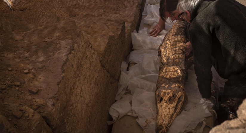 De meest complete en best bewaard gebleven krokodillenmummie uit Qubbat al-Hawā, met huid en rugplaten nog aanwezig. (Foto: Patricia Mora Riudavets)