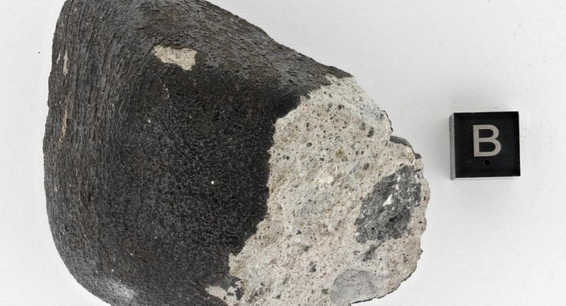 De meteoriet van Titigny is waarschijnlijk een brokstuk dat van de asteroïde Vesta is afgeslagen en op aarde terechtkwam. (Foto: KBIN)