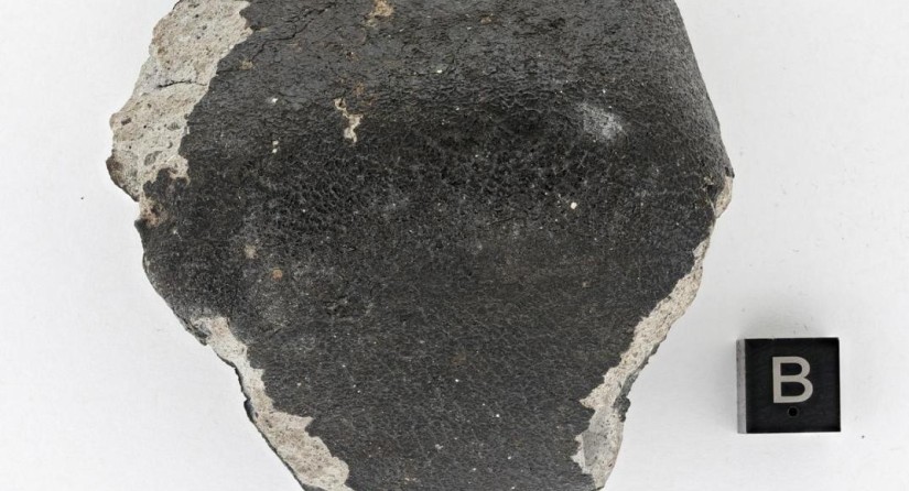 De meteoriet van Titigny, de zesde in België, is een zeldzame soort: een polymicte eucriet. (Foto: KBIN)