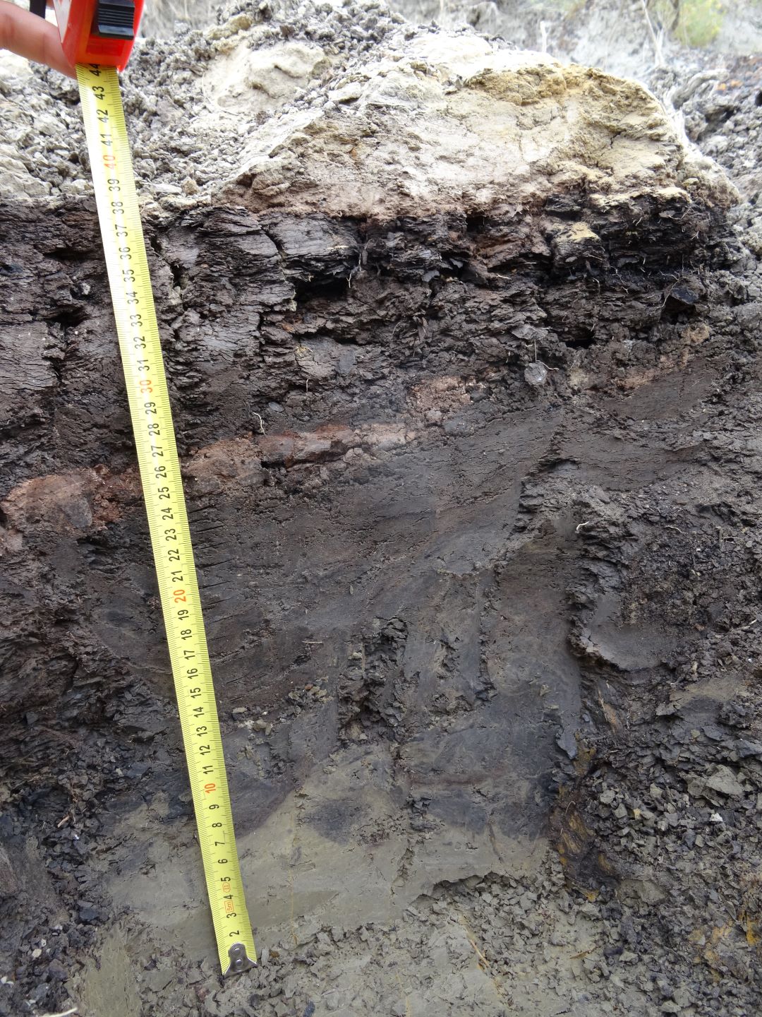 Vue d’ensemble de la limite entre le Crétacé et le Paléogène dans le Dakota du Nord (États-Unis). Des sédiments indiquent un environnement fluvial et marécageux datant de la fin de l’âge des dinosaures. Une couche rose-brun contient des débris d’éjecta provenant de l’impact de Chicxulub. 