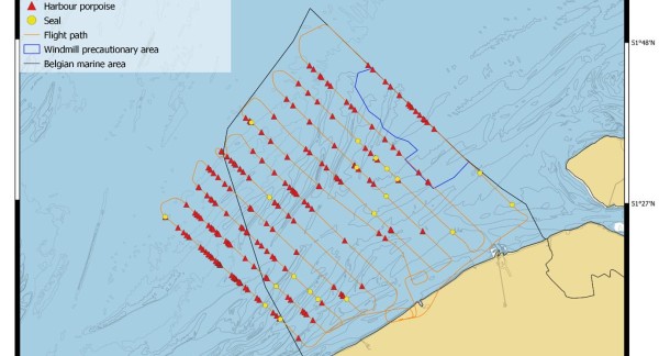 Waarnemingen tijdens de survey in maart 2022: Bruinvissen (rood); zeehonden (geel). (Beeld: KBIN/BMM)