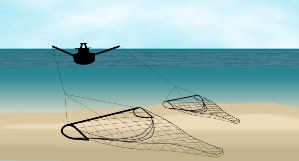 Beam trawling is a form of bottom fishing using towed nets.