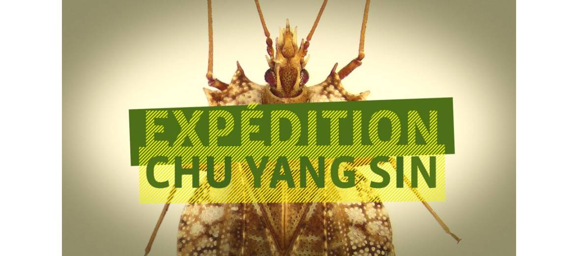 Expedition Chu Yang Sin | Institute of Natural Sciences