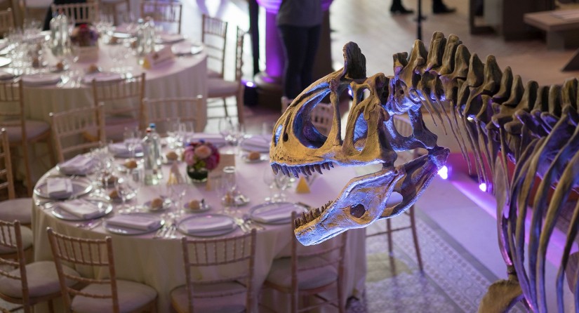 Round tables set up for a dinner in the dinosaurs gallery