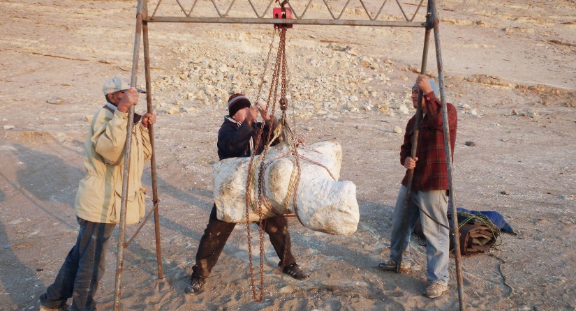 Spécimen de Perucetus colossus étant transporté du site d'origine (province d'Ica, sud du Pérou) au Museo de Historia Natural, Universidad Nacional Mayor San Marcos (Lima). (Photo : Giovanni Bianucci)