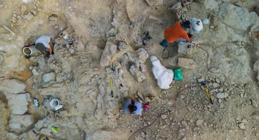 Droneshot above the excavation site in July 2022.