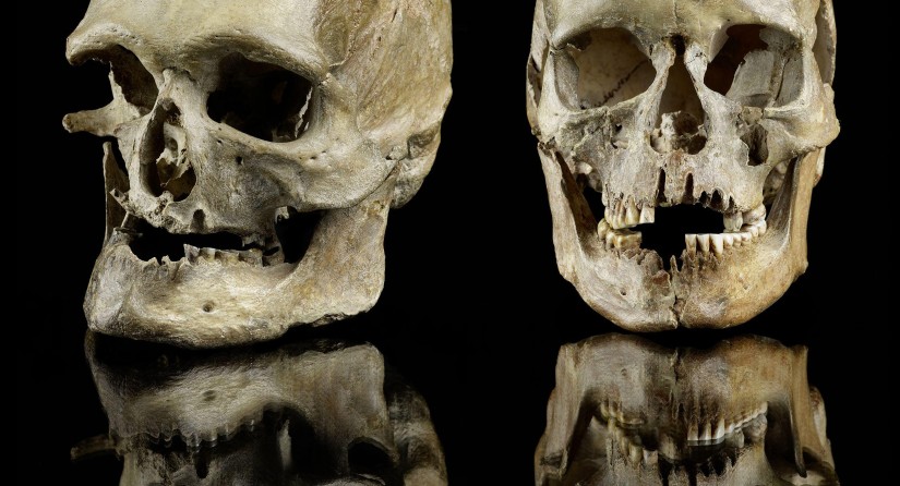 Oldest evidence of migration during a climate warming: Male and female skull buried in western Germany (Oberkassel) about 14,000 years ago. Genetically those individuals derived from the south. (Photo: Jürgen Vogel, LVR-LandesMuseum Bonn)