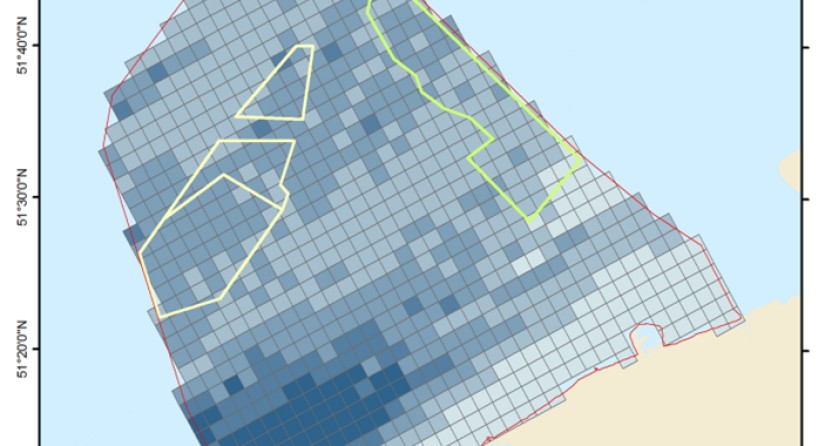 Gecombineerde gevoeligheidskaart voor roodkeelduiker, Jan-van-Gent, zeekoet en alk. Donkerder blauw betekent een hogere gevoeligheid voor verplaatsing door offshore windparken. (Beeld: INBO)