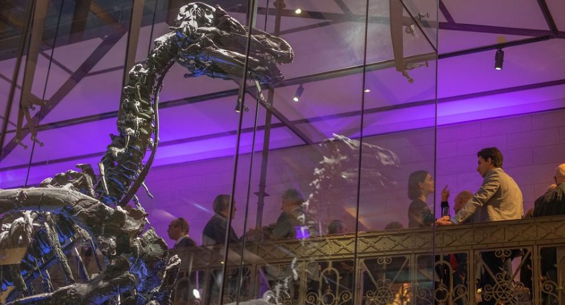 Walking dinner on the Mezzanine of the Gallery of Dinosaurs, guests chatting with a good view of the Iguanodons of Bernissart