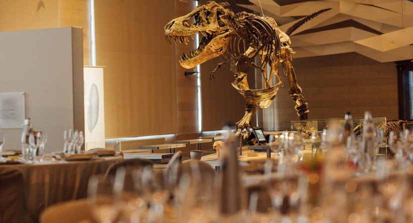 Tables set up for a dinner in the dinosaurs gallery, in front of Stan the T-Rex