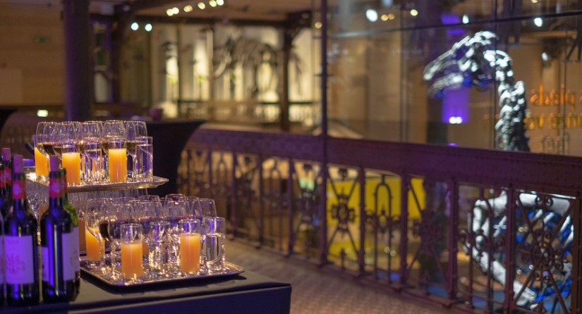 Glasses ready for a reception on the Mezzanine of the Gallery of Dinosaurs, in front of the iguanodons cage