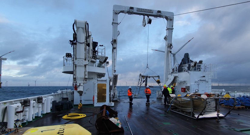 Scientific sampling with RV Belgica in Belgian offshore wind farms.