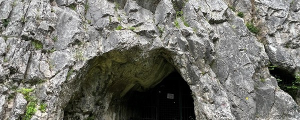 No signs of genetic poverty among the last Neandertals of North-Western Europe