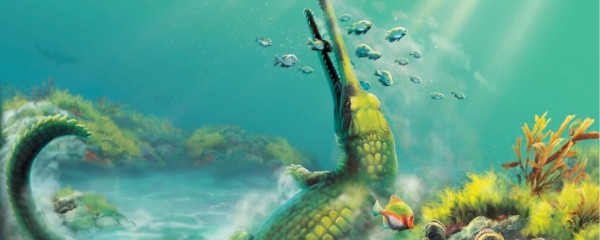 Langsnuitige krokodillen konden 80 miljoen jaar geleden de Atlantische Oceaan oversteken