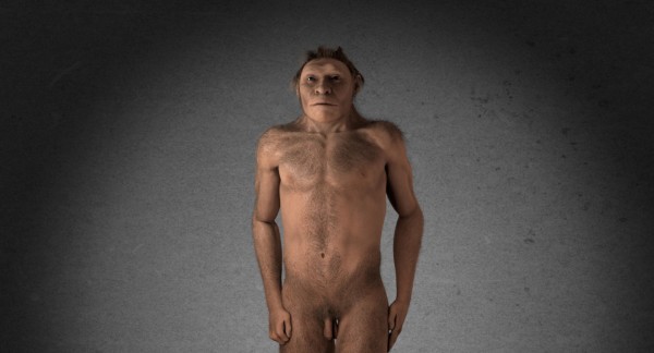 Virtual reconstruction du Georgian human, away from Africa