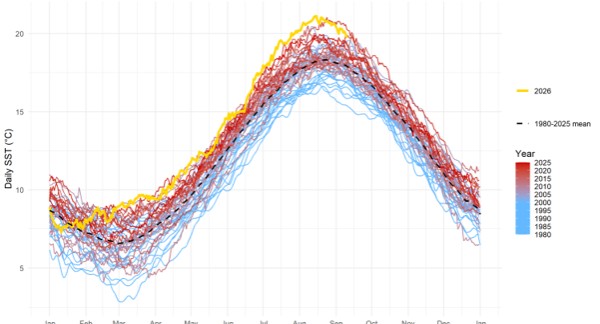 La température de la mer du Nord bat tous les records