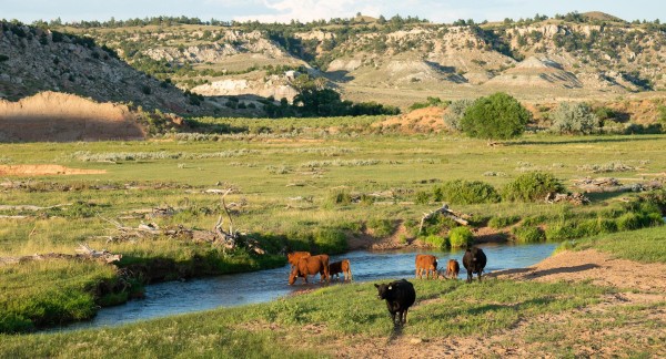 La vie bucolique dans le Wyoming.