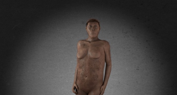 Virtual reconstruction van Handige mens, de eerste van alle Homo-soorten