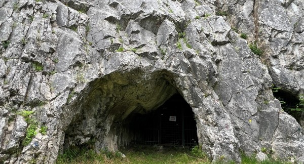 Geen genetische armoede bij laatste neanderthalers in Noordwest-Europa