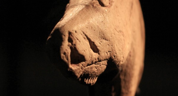 Figurine de cheval magdalénien de Duruthy, France. Abbaye d'Arthous. Collections du département des Landes, mai 2021. (Photo : Ludovic Orlando)