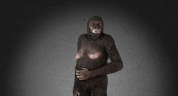 Virtual reconstruction de Ardipithecus ramidus