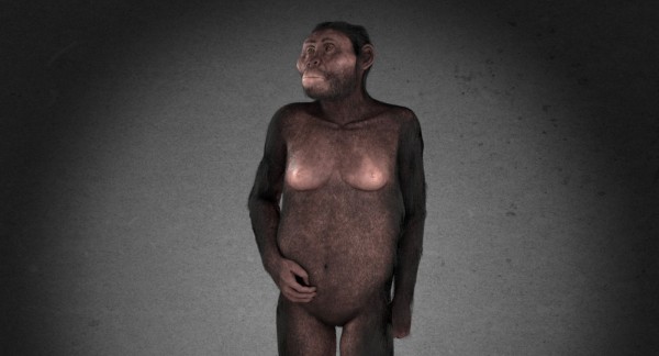 Virtual reconstruction de Lucy, le premier squelette complet retrouvé
