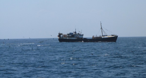 Deep-sea trawling in South Africa, 2015