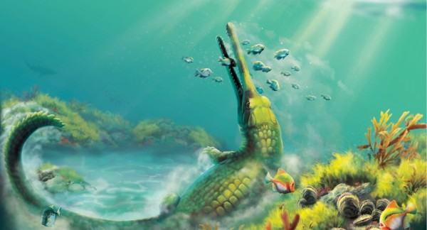 Des vieux crocodiles encore pleins de surprises