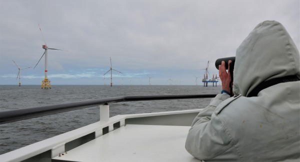 persoon die zeevogels volgt bij een Belgisch offshore windmolenpark