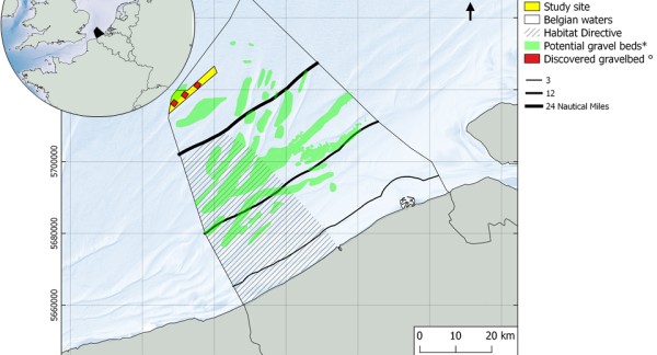 The Belgian part of the North Sea, indicating zones with gravel bed potential (green), the study area (yellow) and the discovered gravel beds in good ecological condition (red).