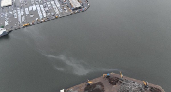 Pollution par hydrocarbures dans le port d’Anvers. (Image: IRSNB/UGMM)