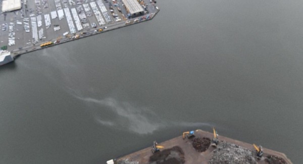 Olieverontreiniging in de haven van Antwerpen. (Beeld: KBIN/BMM)