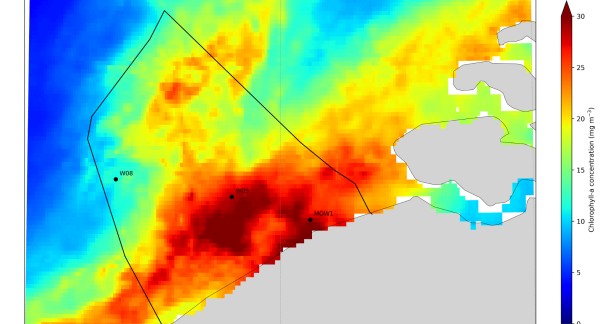 Warning about the risks of sea foam