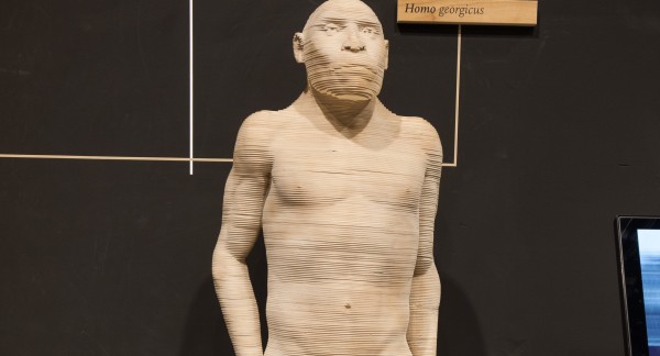 Homo georgicus