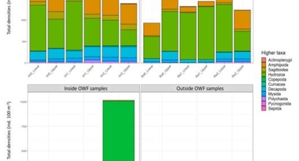 Densities of hyperbenthos in and outside offshore wind farms. Top = offshore vs bottom = coastal (different scales, higher densities coastal); left = inside vs right = outside wind farm (higher densities inside wind farms).