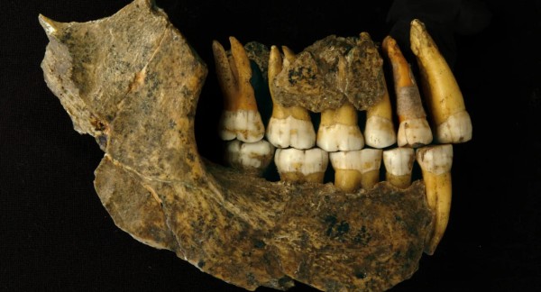 Neanderthalers verdwenen duizenden jaren eerder uit België dan gedacht