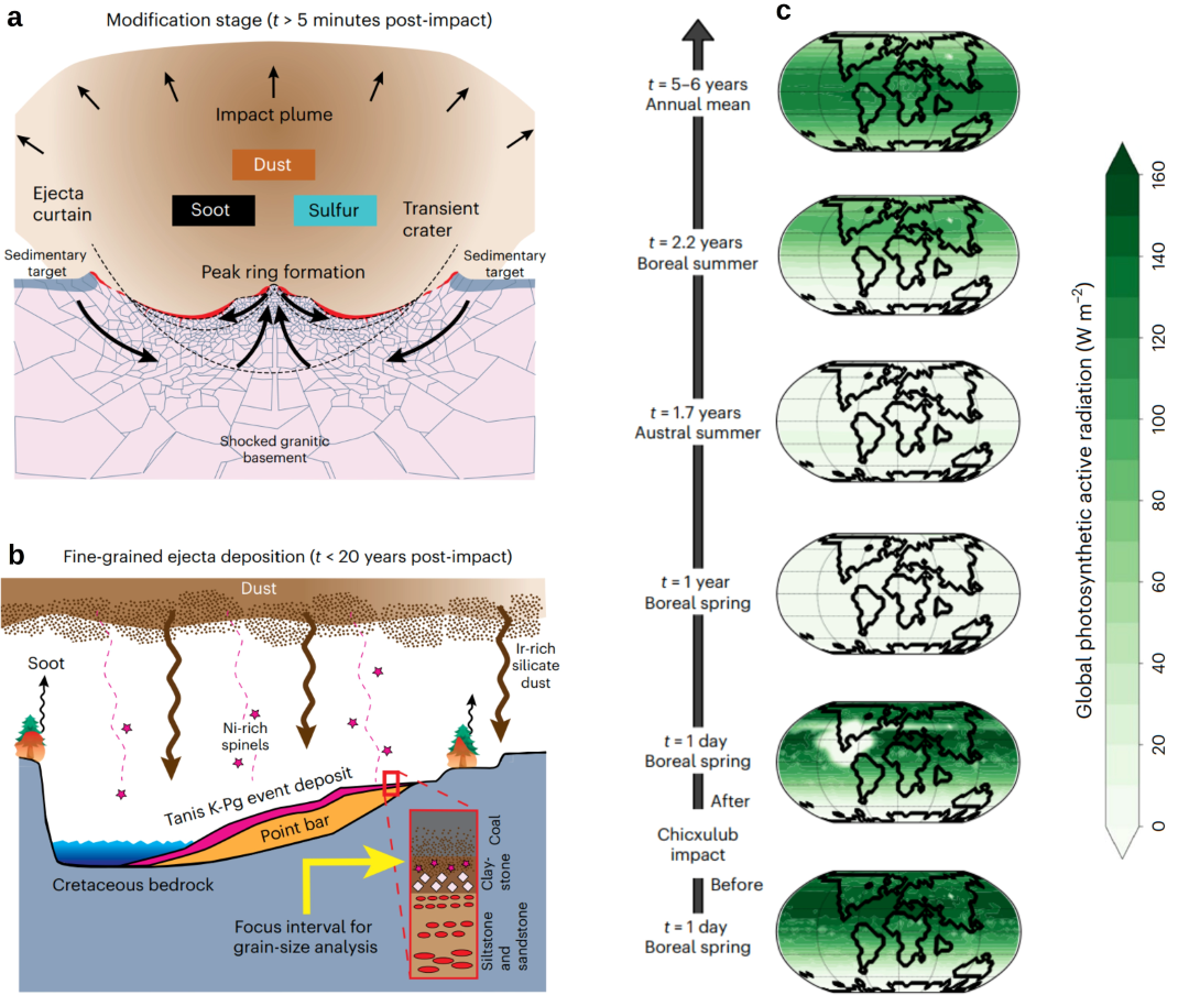 Conceptual model of the Chicxulub impact plume showing different stages of (a) production, and (b) transport and deposition of the  impact-generated ejecta (not to scale). (c) Paleoclimate model simulations showcasing the time evolution of the dust-induced  photosynthetic active radiation flux across the planet following the Chicxulub impact 66 million years ago 