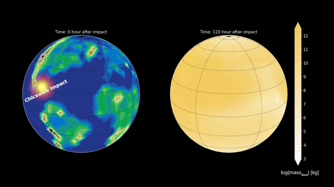 Simulatie op twee wereldbollen van hoe snel het fijnstof zich over de planeet kon verspreidenna de inslag van de Chicxulub-meteoriet (simulaties door Cem Berk Senel).